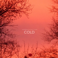 COLD (feat. BLVC SVND)