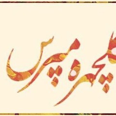 MohammadReza Shajarian - Golchehreh Mapors (Remix)