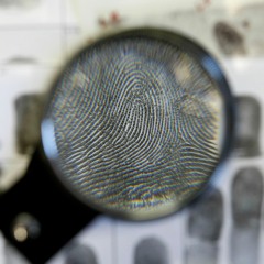 Episode 124 - Making a Murderer Questions