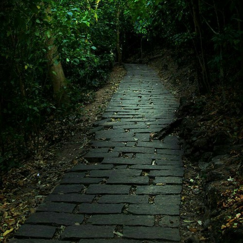 വഴിയൊടുക്കം