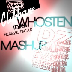 David Zowie & Tchami - House Every Promesses (Whosten Mashup) [Free Download]