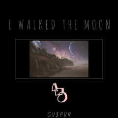 I Walked The Moon