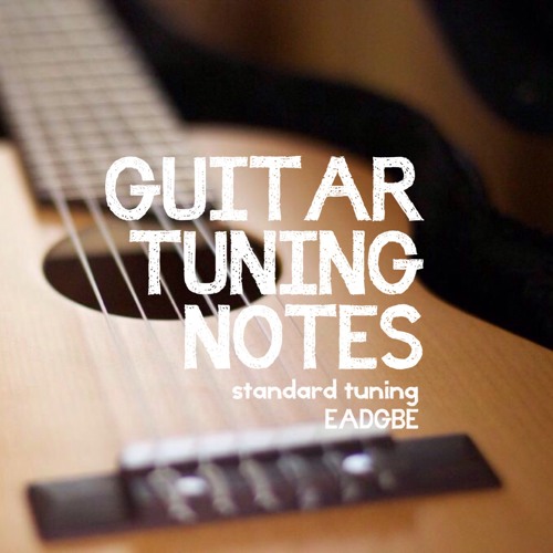 Standard Guitar Tuning : Low E