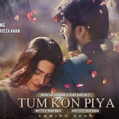 Tum Kon Piya OST by Rahat Fateh Ali Khan