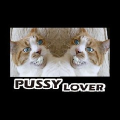 Pussy Lover - preview (full version now on youtube)
