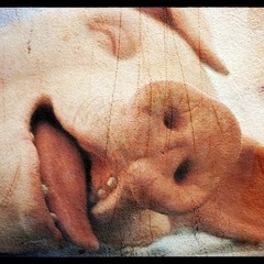 NIN/Deadmau5 - Closer Pig [Mash][New Intro][W.I.P]