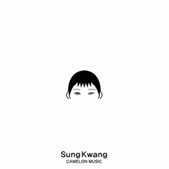 SINSDON - IT'S NOT IT / 신스돈 - 이건아닌데