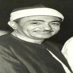 سبّحت لله في العش الطيور .. نصر الدين طوبار