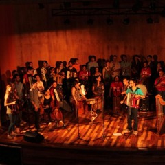 11 - Protozoario -  El Toro (Chamamé)