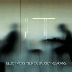 Elliot Moss - Slip (MrFindus ReMash)