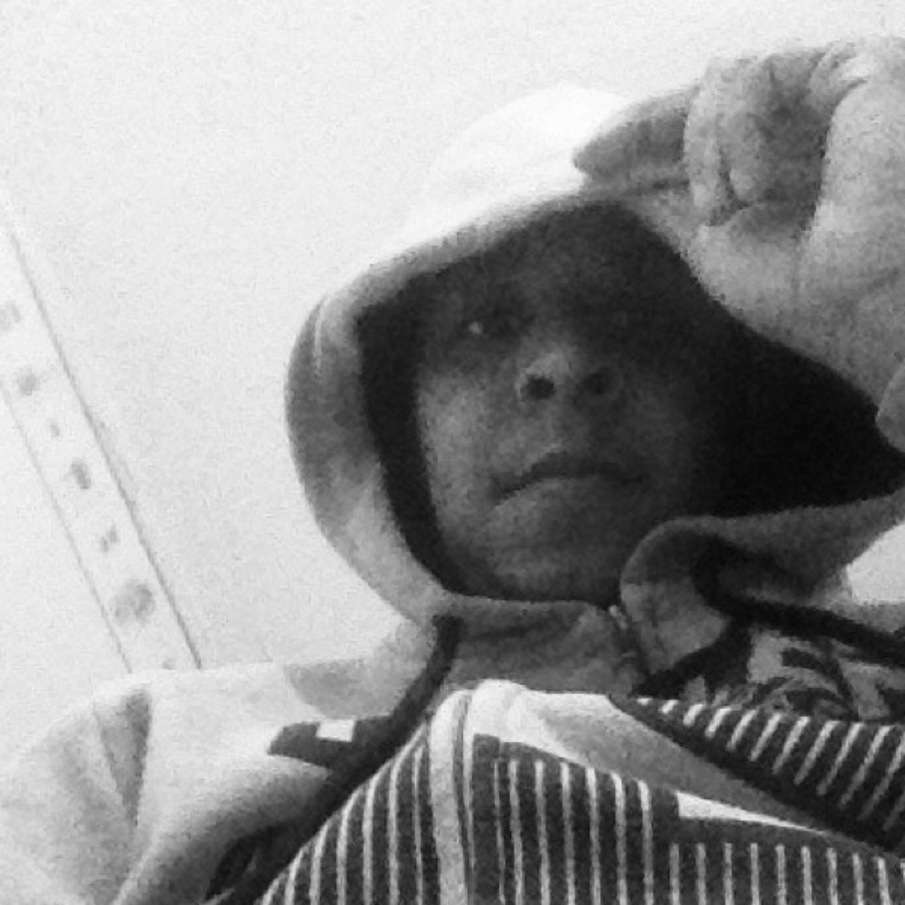 Young Trapper