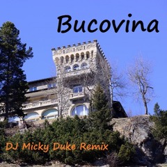 Bucovina (DJ Micky Duke Remix)