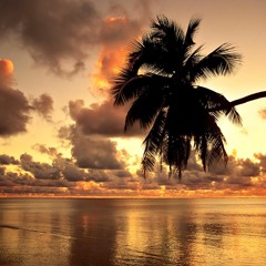 Aly & Fila and Susana - Without You (Mohamed Ragab Remix)