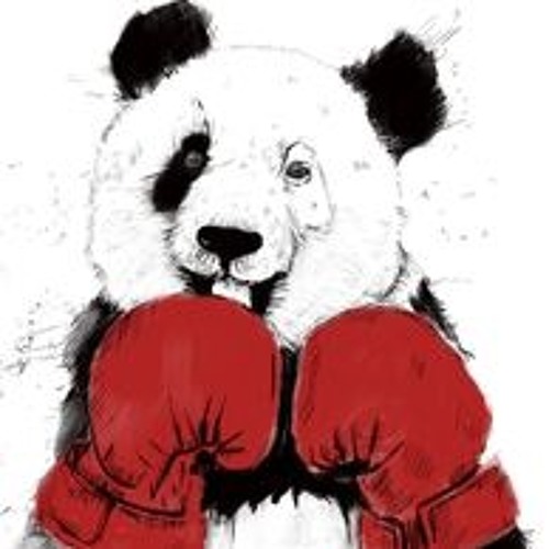 медведь в боксерских перчатках. медведь с боксерскими перчатками. мишка в боксерских перчатках. медведь в боксерских перчатках. медведь с боксерскими перчатками.