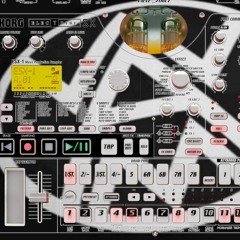 WaM Live Hardtek - Tek