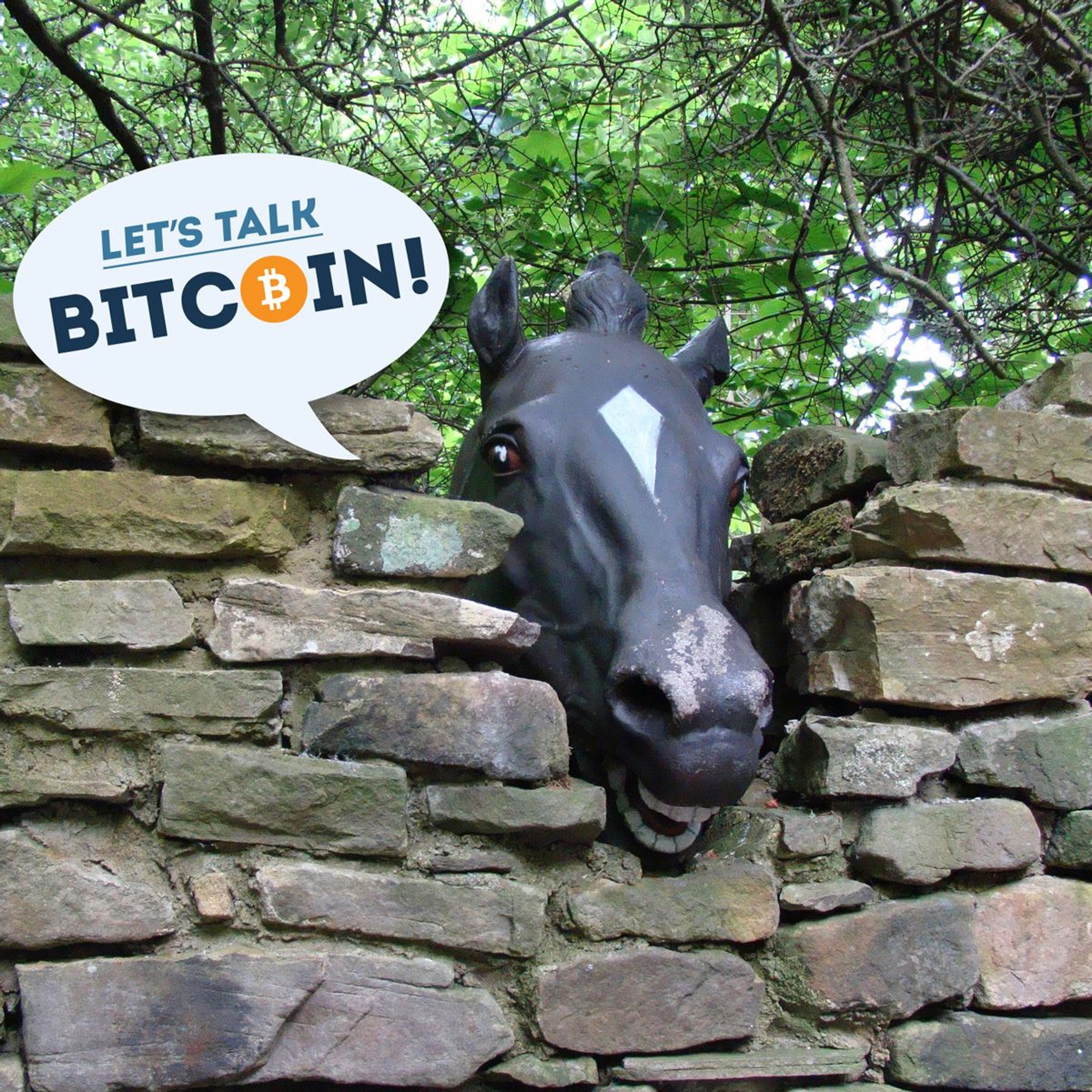 LTB E284 - Tell Us What You Really Think