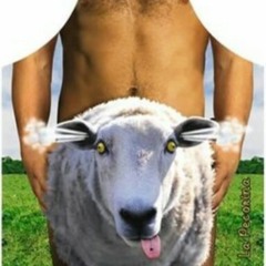 Sheep shagging bastard?