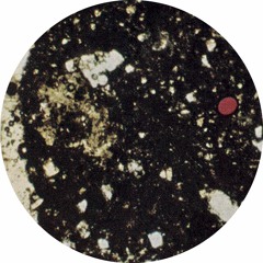 CUT#30 / Monte Burrows - Silhouettes 1-5 (excerpt)