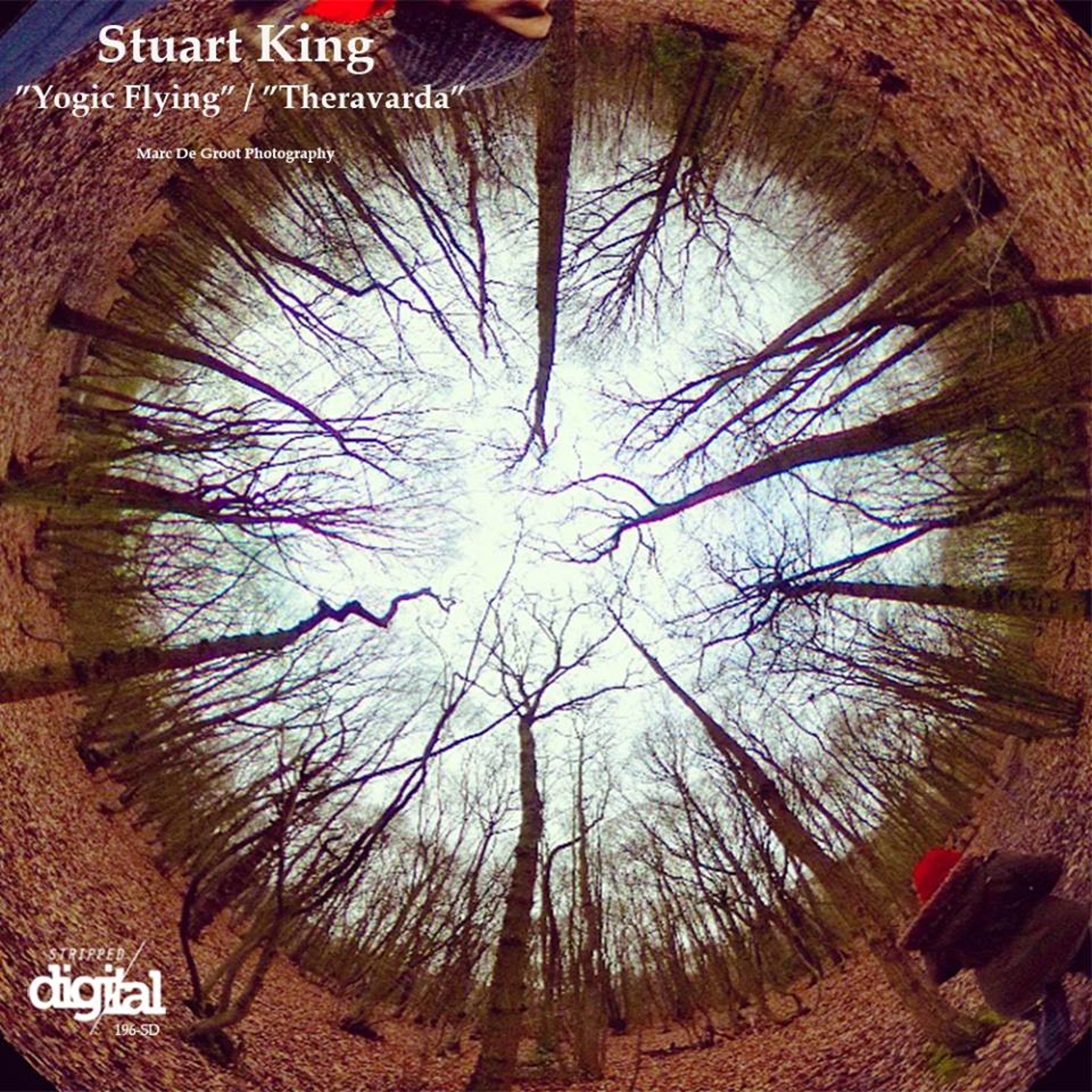 Stuart King