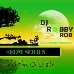 EDM (Club Style Mix)-