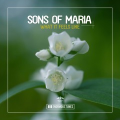 Sons Of Maria - What It Feels Like (Radio Mix)