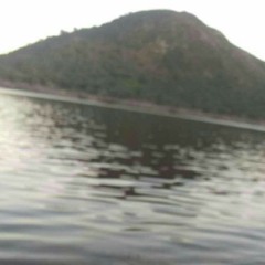 Free To Be