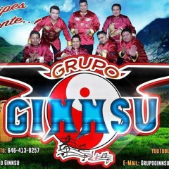 YA ME VOY  GRUPO GINNSU FT PUCHO MASTER MIX