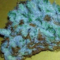 VdSidC - Nr. 005 - ZUNA - Hurensohn _ C'est la vie.mp3