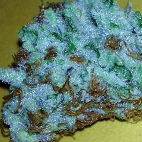 VdSidC - Nr. 005 - ZUNA - Hurensohn _ C'est la vie.mp3