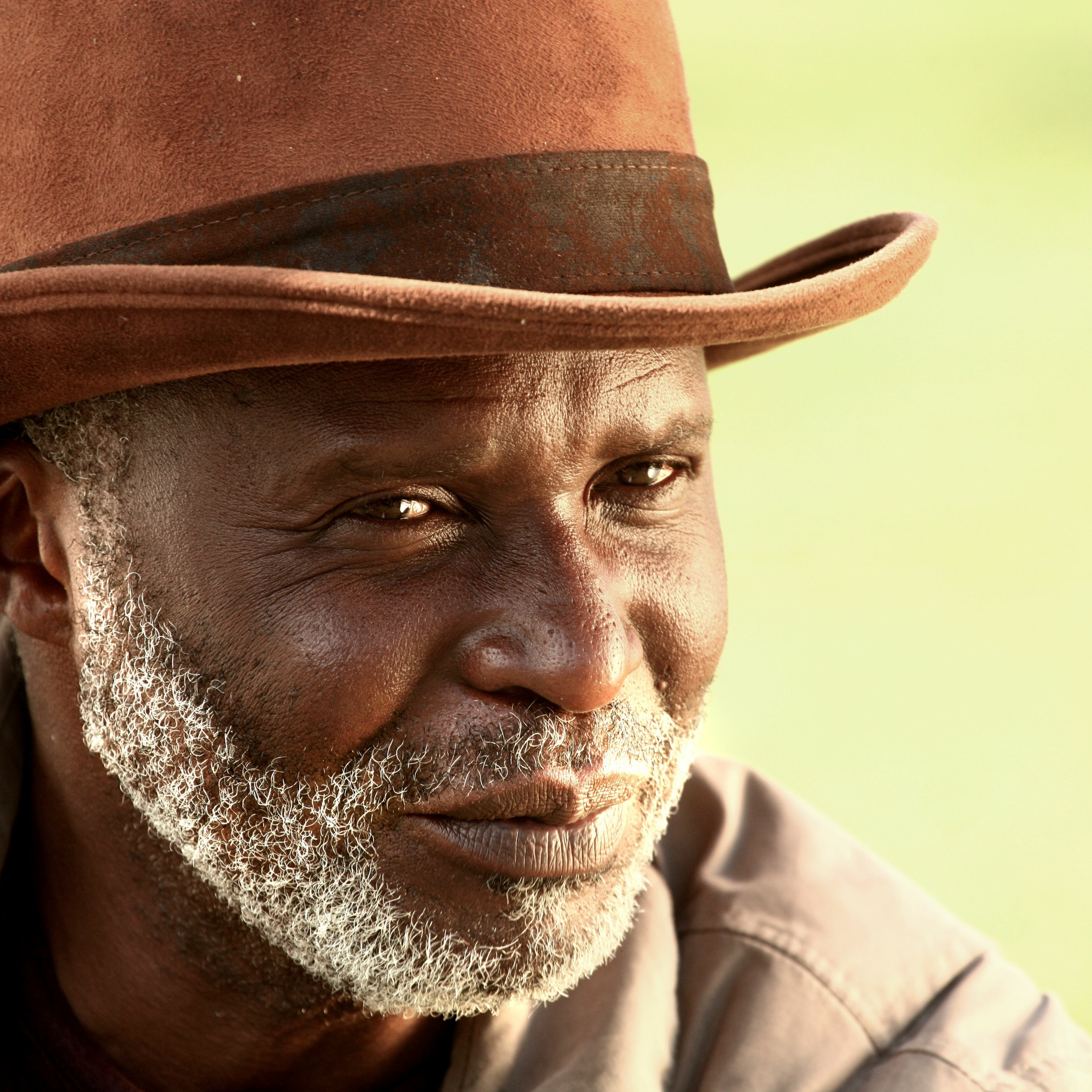 Jay Harold