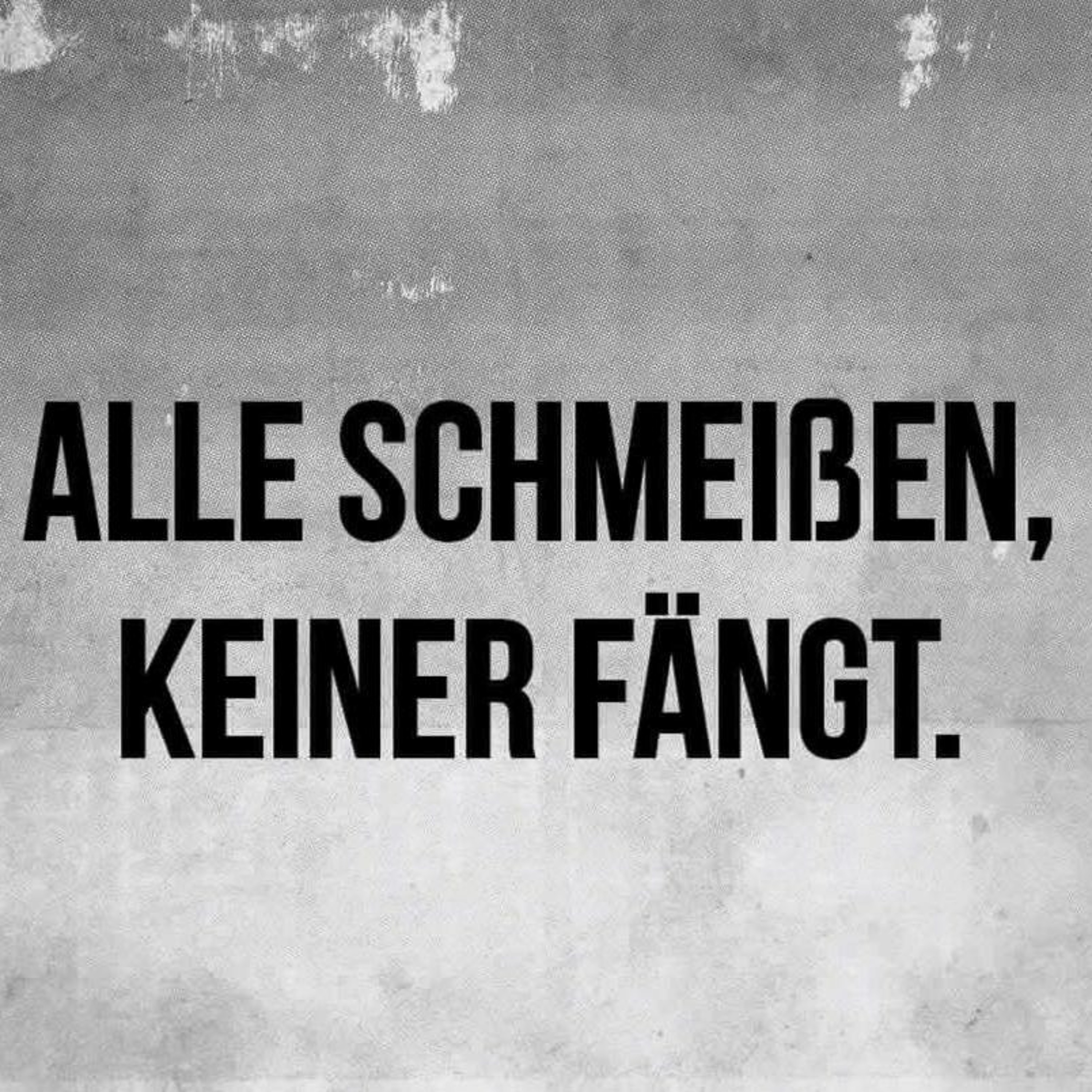 Das Brett zum Sonntag second Run