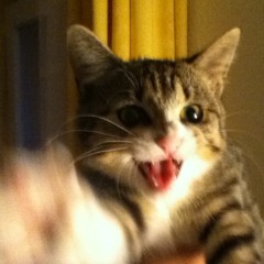 Hey Mama by David Guetta Amen Remix