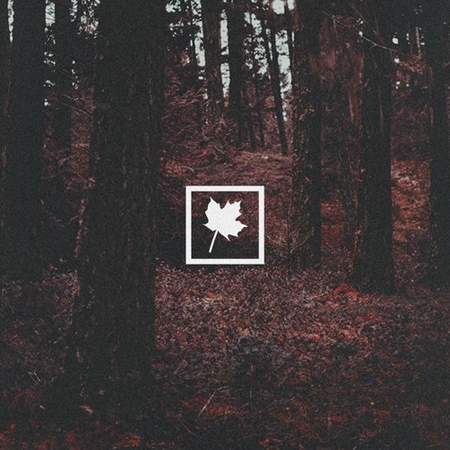 THE INSTRUMENTAL SPARK