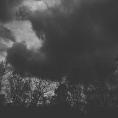TheReflection (w/ An Imaginal Space)