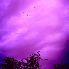 CTK X ellis X SASQUATCH - PROFIT