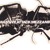 Artwork for Massive Attack   Mezzanine