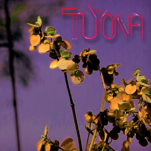 ¿Qué he sacado con quererte? (Demo cover Violeta Parra)