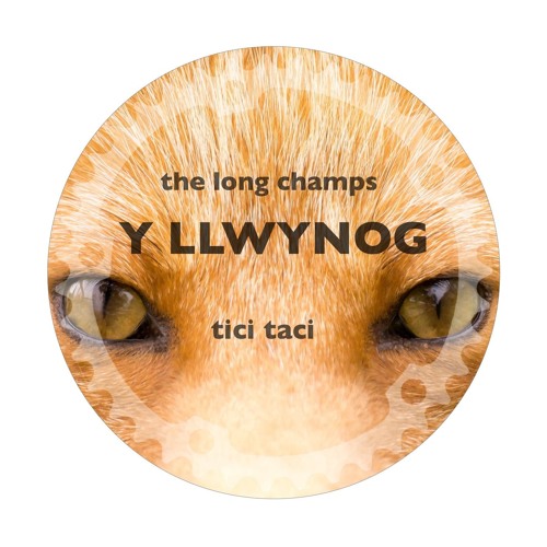 The Long Champs - Y Llwynog (clip)