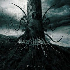 AngelMaker - Decay