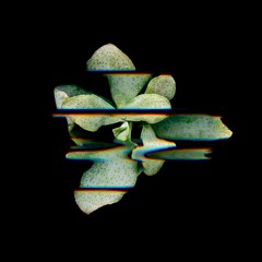 technosphere