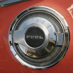 Fuel