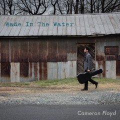 Wade In The Water cover