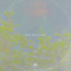 what we shared (prod. [ med.monk ])