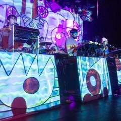 Animal Collective - Daily Routine (Live at Irving Plaza)