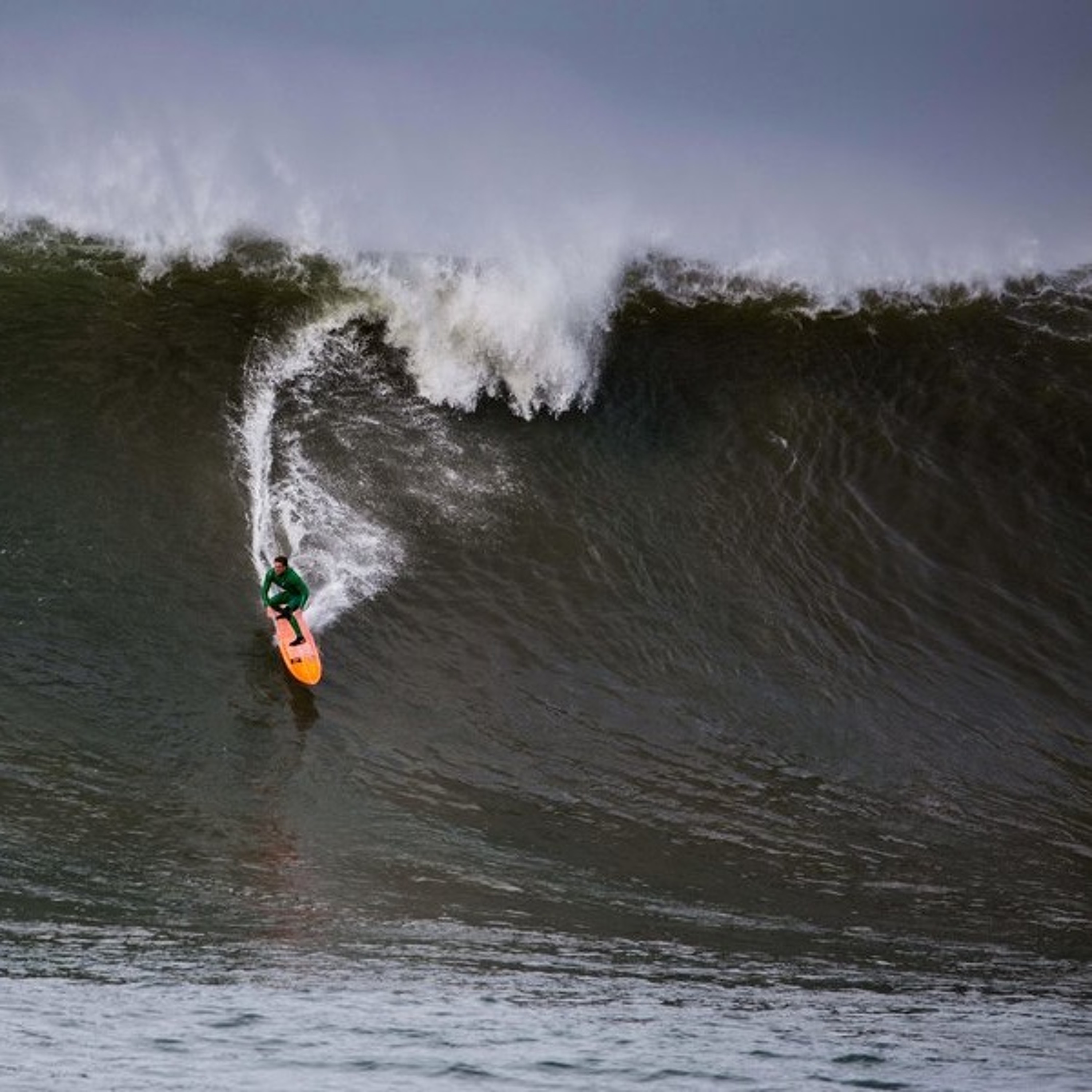 NIC LAMB - 'The Maverick's Man'