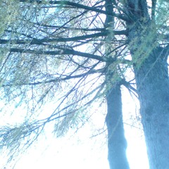 How Free Do I Have To Be