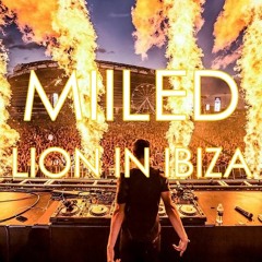Lion In Ibiza