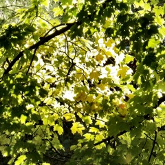 What The World Needs Now Is Love