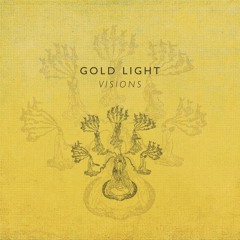 Gold Light - Rosebush
