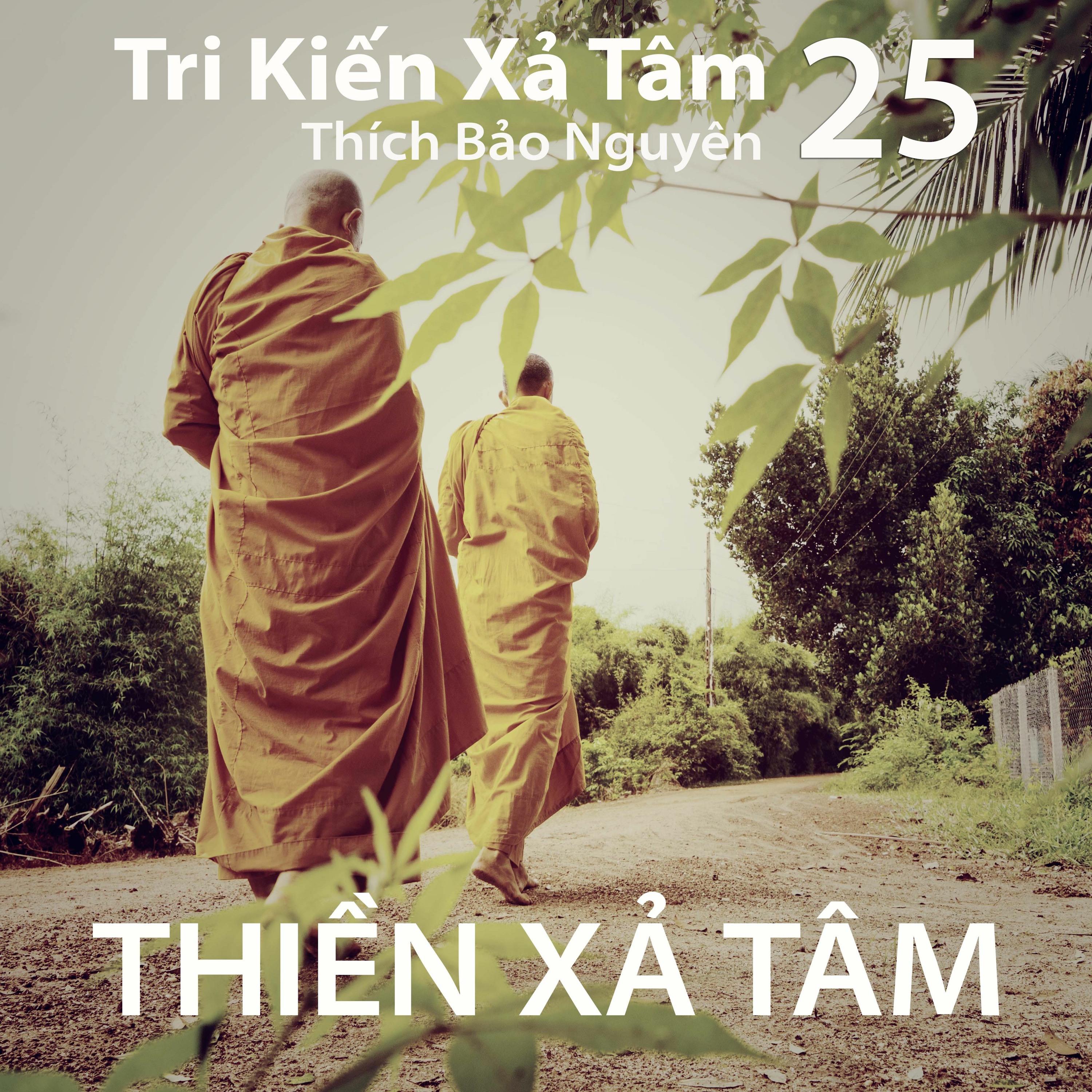 Thiền Xả Tâm episode artwork